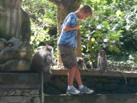 Bali Monkey Sanctuary