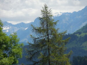 Leysin, Switzerland / Kimberly Sullivan