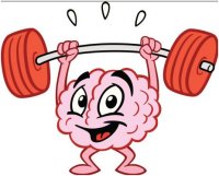 Brain workout