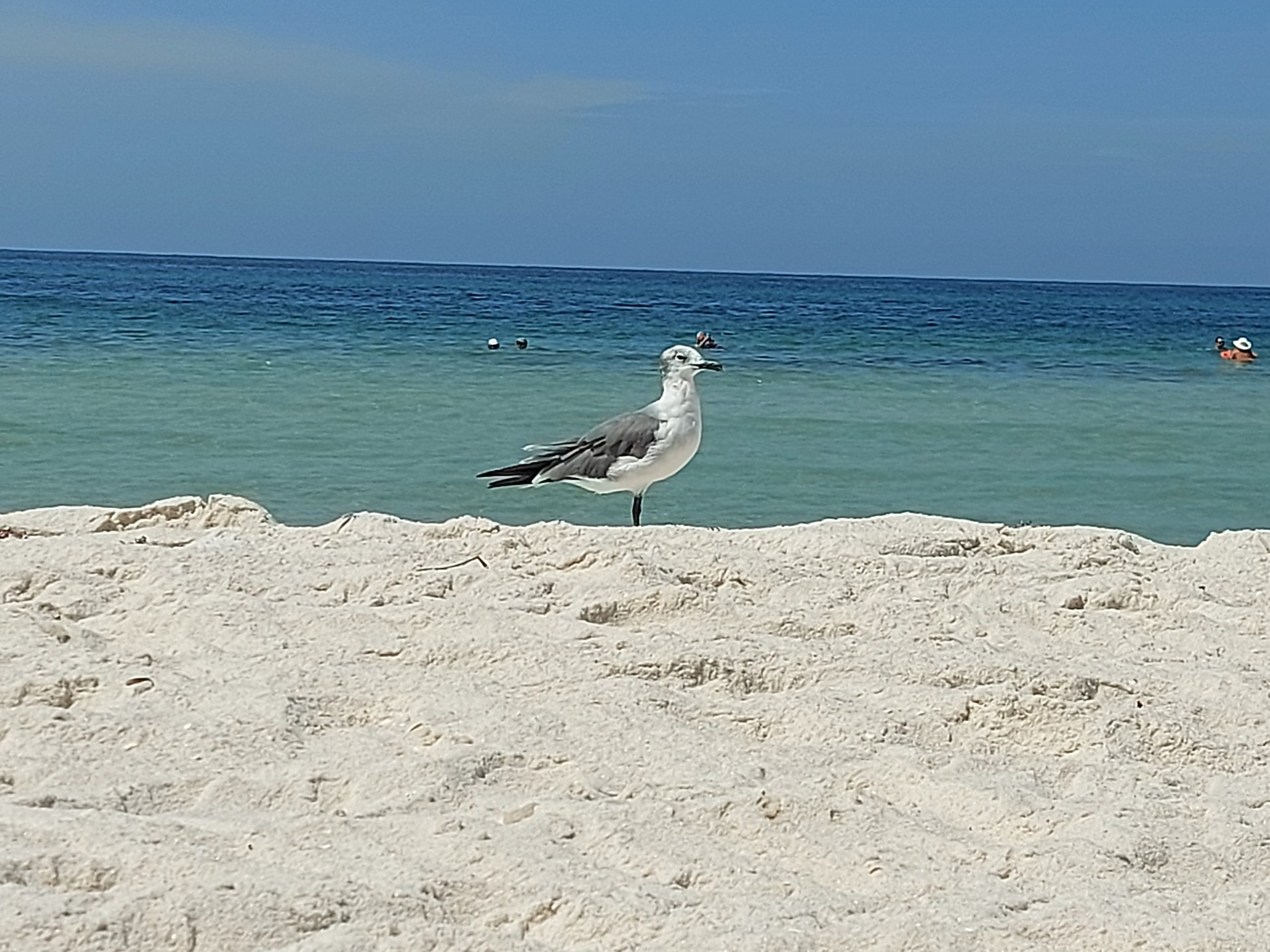 Panama City Beach, Florida/ Kimberly Sullivan