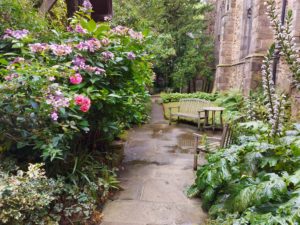 Durham garden, England/ Kimberly Sullivan