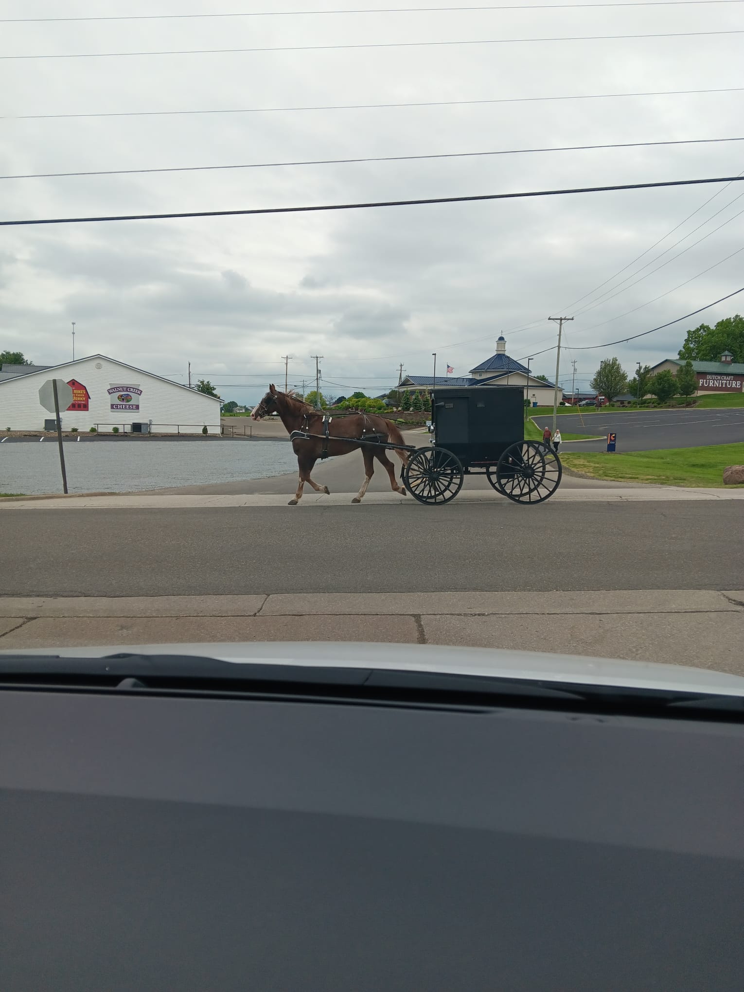 Ohio Amish country / Kimberly Sullivan