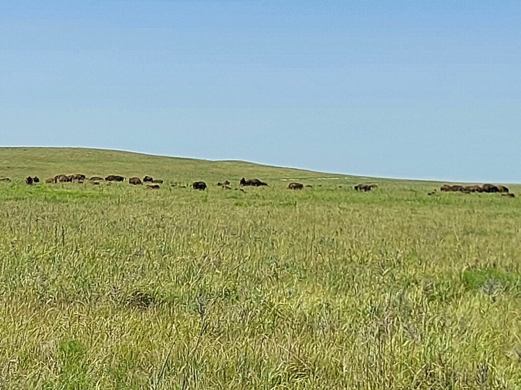 Tallgrass Prairies, Kansas/ Kimberly Sullivan