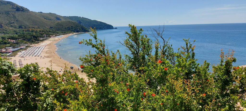 Beach Reads 2025/ Kimberly Sullivan