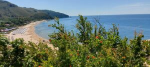 Beach Reads 2025/ Kimberly Sullivan