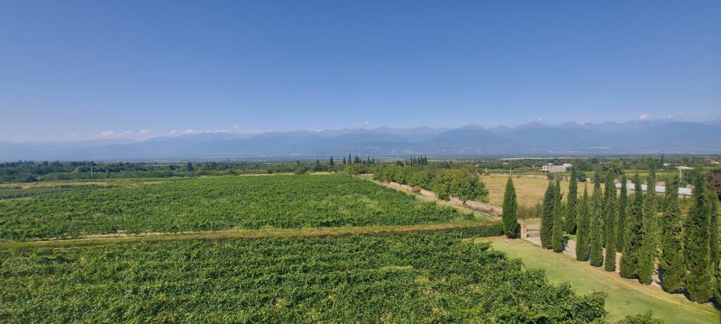 Kakheti, Georgia / Kimberly Sullivan