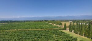 Kakheti, Georgia / Kimberly Sullivan