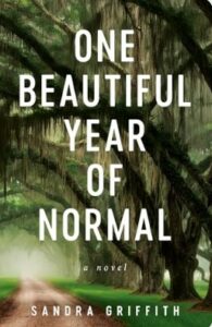 One Beautiful Year of Normal cover