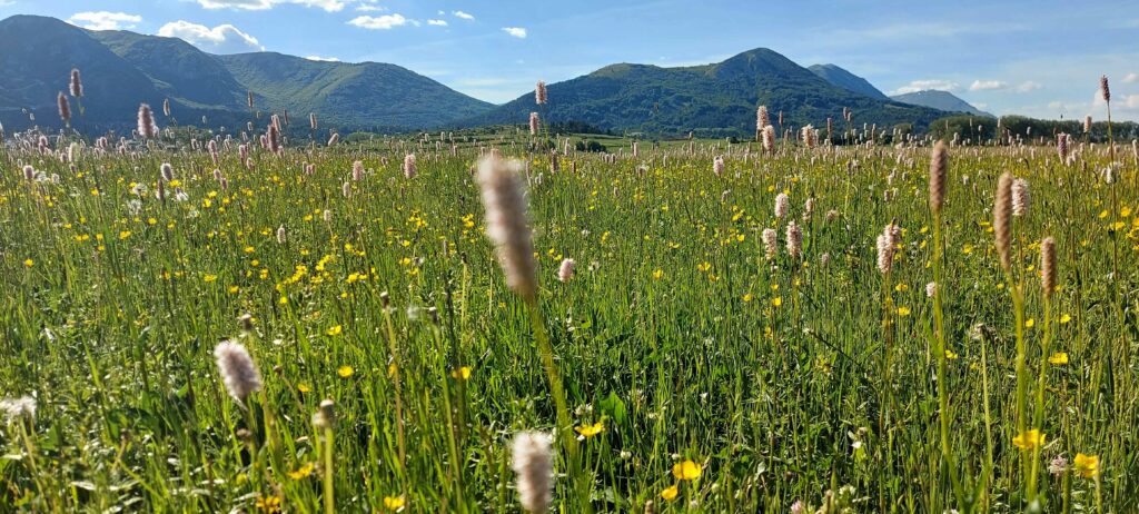 Ovindoli, Abruzzo, Italy / Kimberly Sullivan